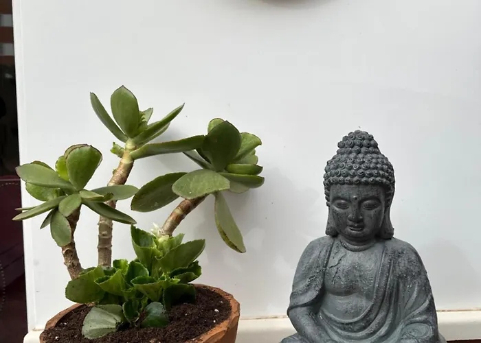 Luxury Svetlanka House Fenals *