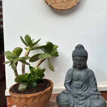 Luxury Svetlanka House Fenals *